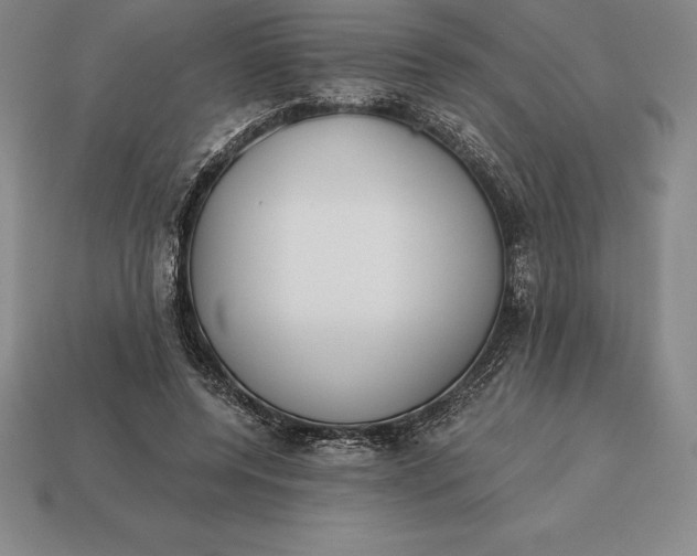 X0000113170544200909181834