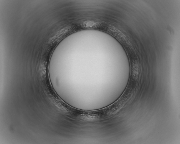 X0000113170545200909181834