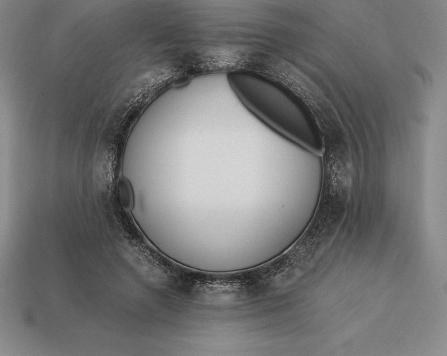 X0000113170546200909181834