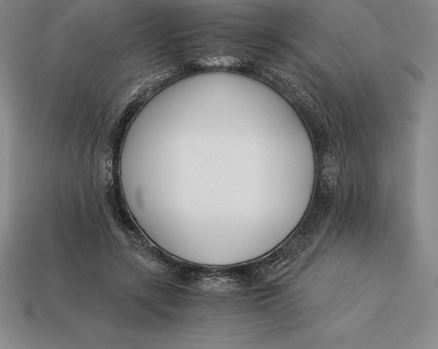 X0000113170547200909181834