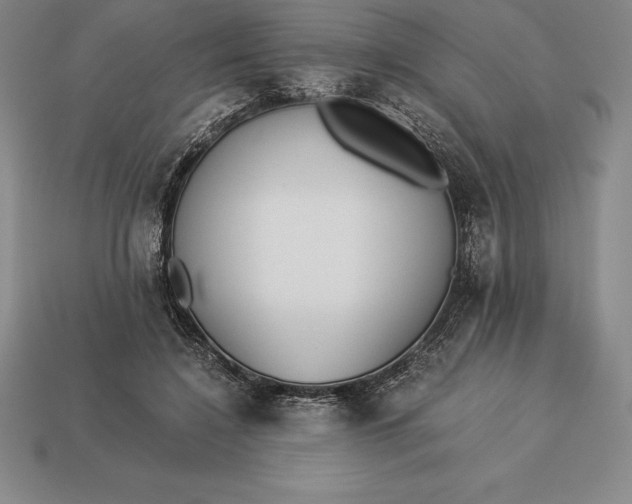 X0000113170548200909181834