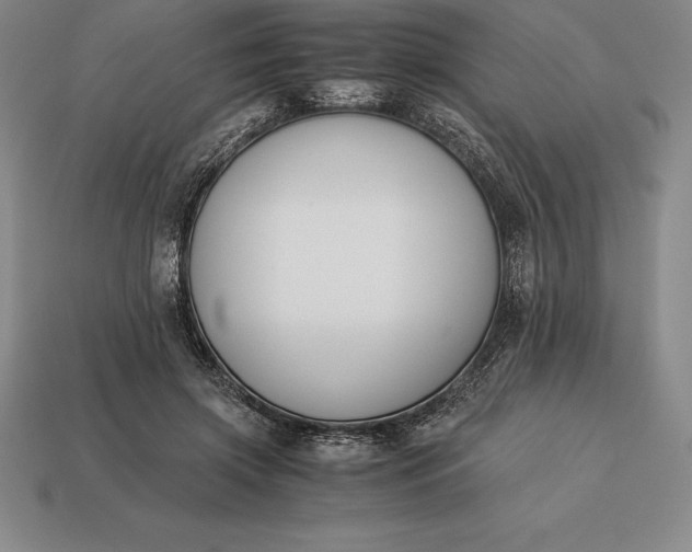 X0000113170549200909181834