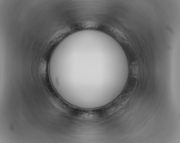 X0000113170550200909181834