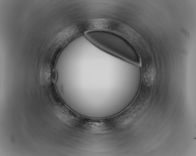 X0000113170552200909181834