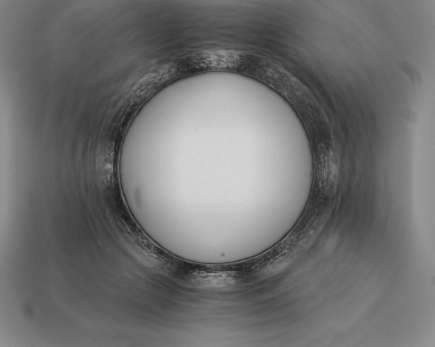 X0000113170553200909181834