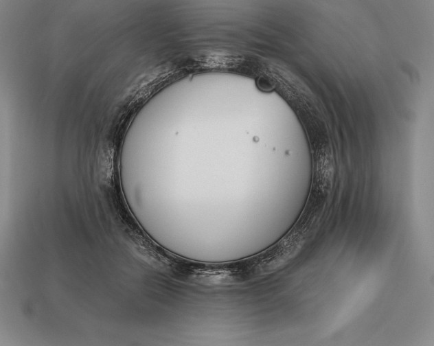 X0000113170554200909181834