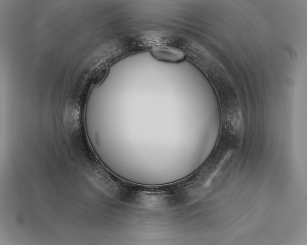 X0000113170556200909181834