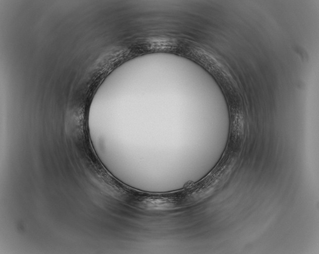 X0000113170557200909181834