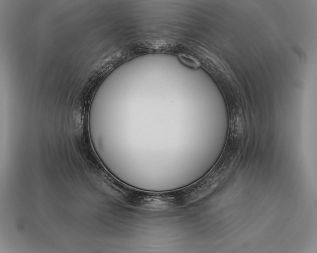 X0000113170558200909181834