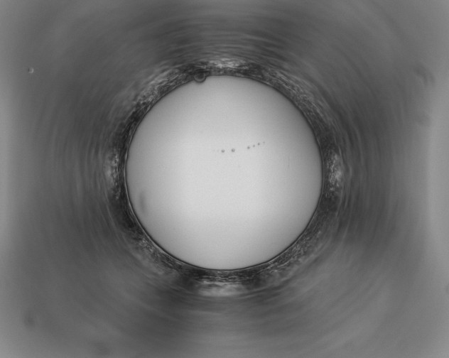 X0000113170559200909181834