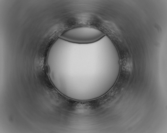 X0000113170560200909181834