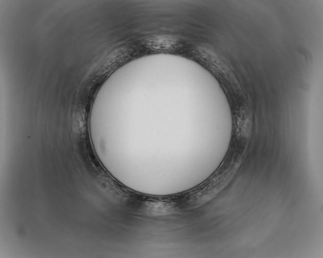 X0000113170561200909181834