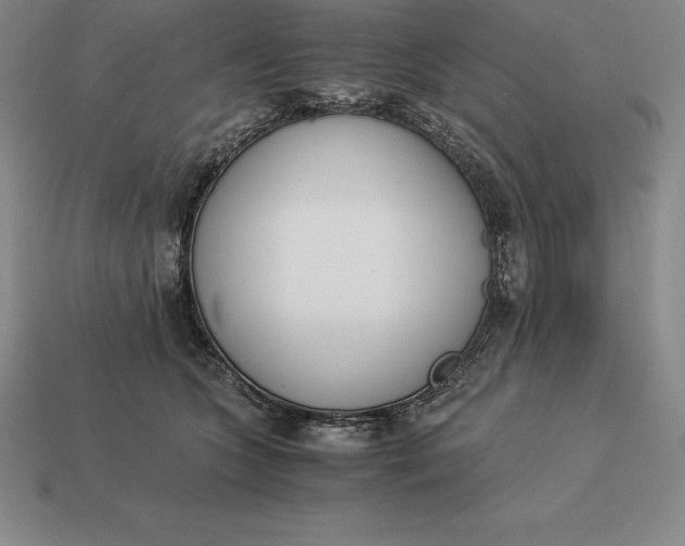 X0000113170563200909181834