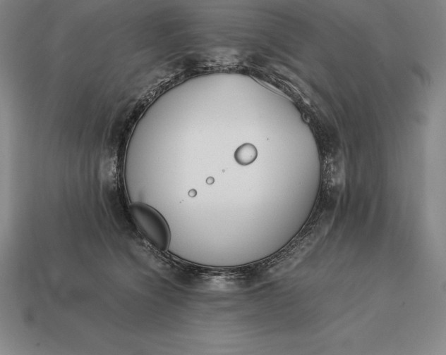 X0000113170564200909181834