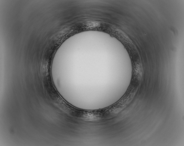 X0000113170565200909181834