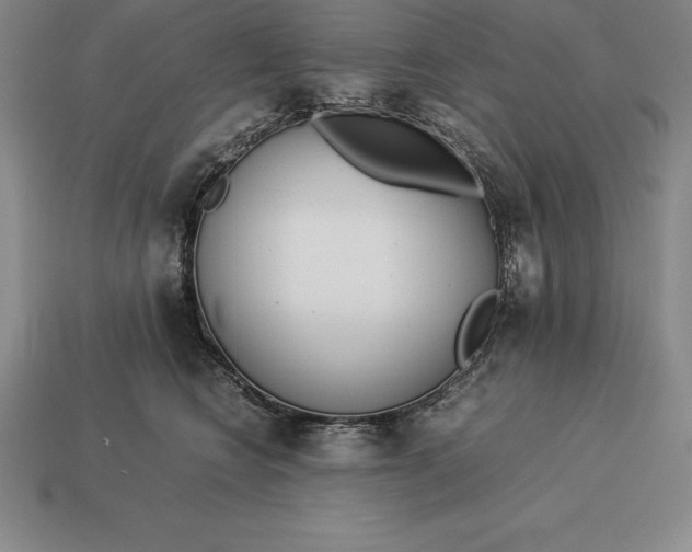 X0000113170566200909181834