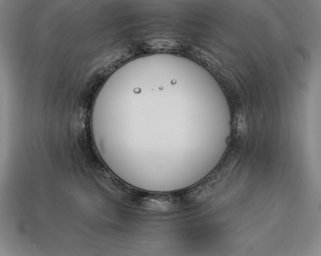 X0000113170567200909181834