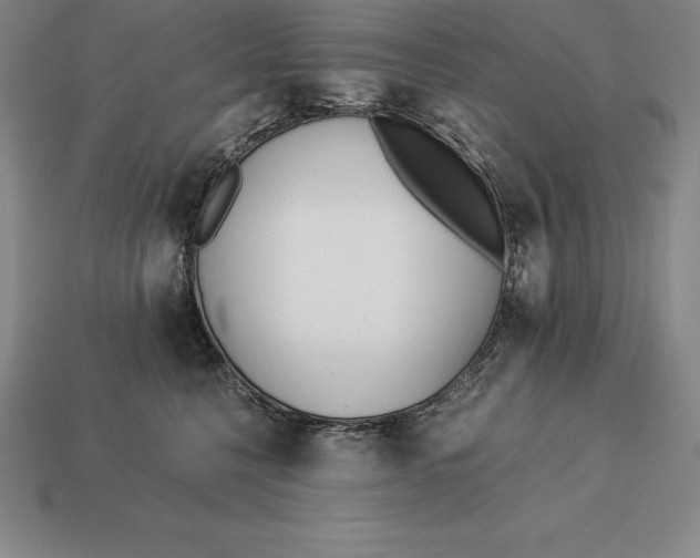 X0000113170568200909181834