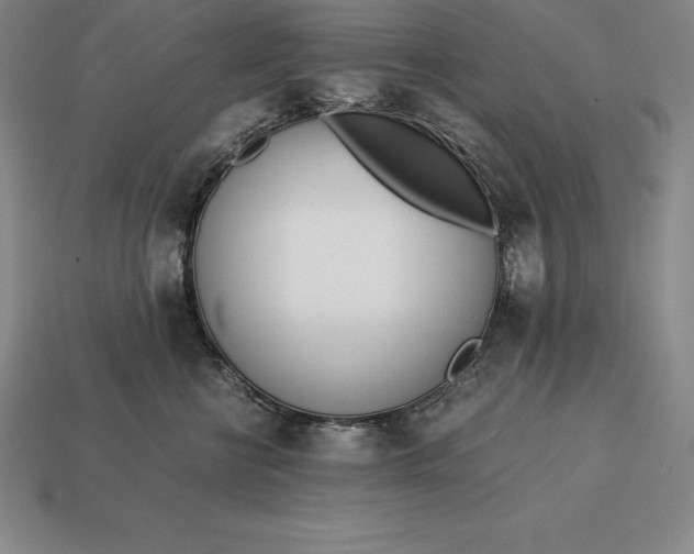 X0000113170570200909181834