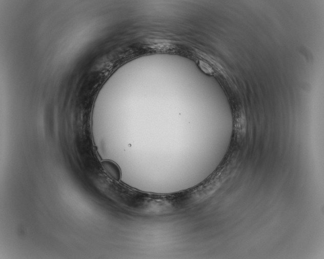 X0000113170572200909181834