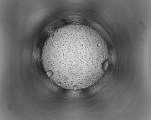 X0000113170573200909181834