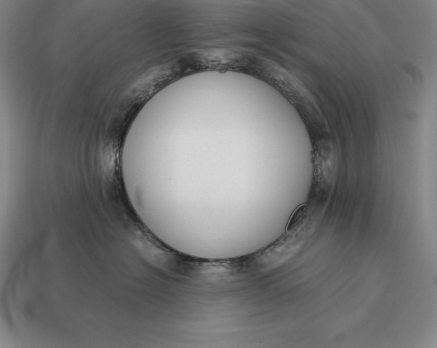 X0000113170574200909181834