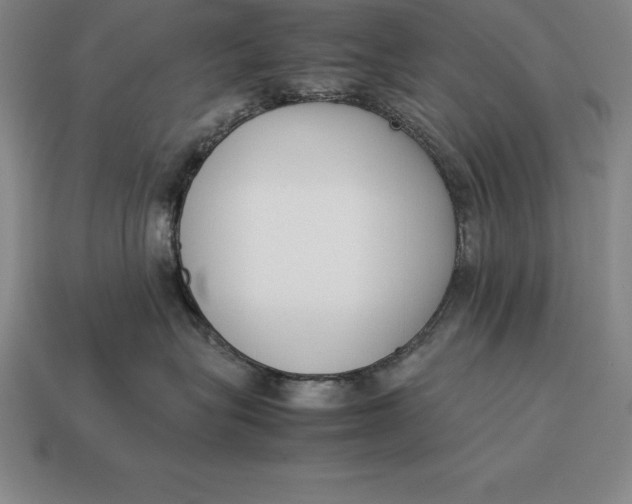 X0000113170575200909181834