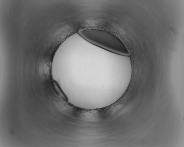 X0000113170576200909181834