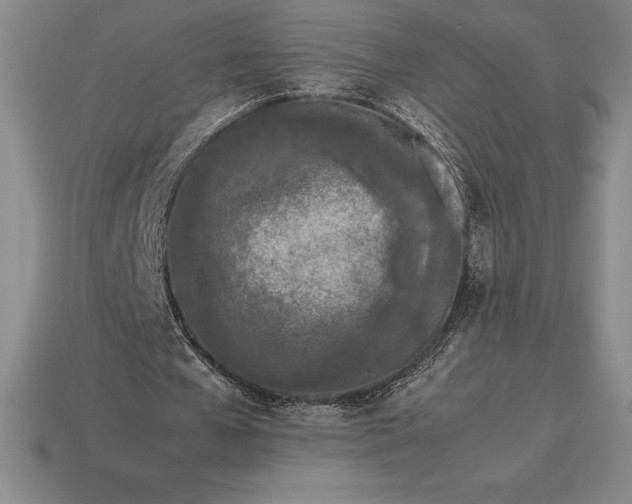 X0000113170577200909181834