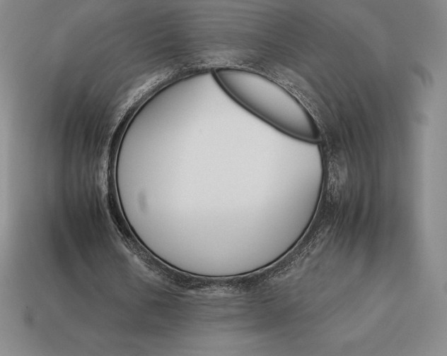 X0000113170578200909181834