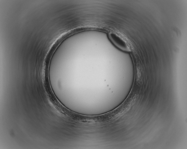 X0000113170580200909181834