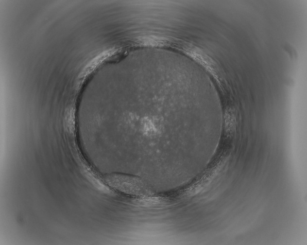 X0000113170581200909181834