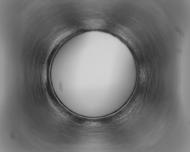 X0000113170582200909181834