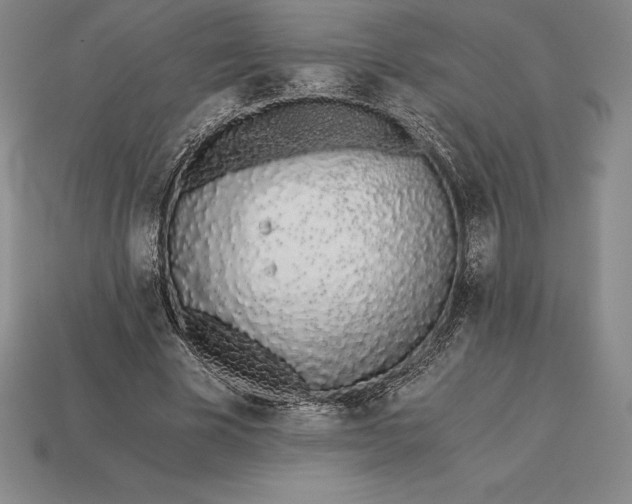 X0000113170585200909181834