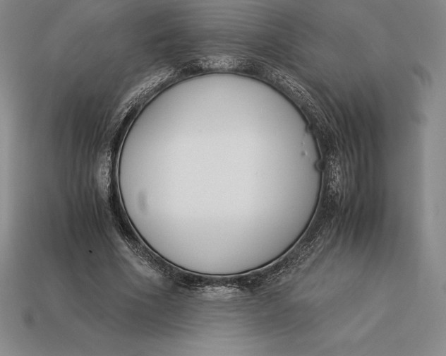 X0000113170586200909181834