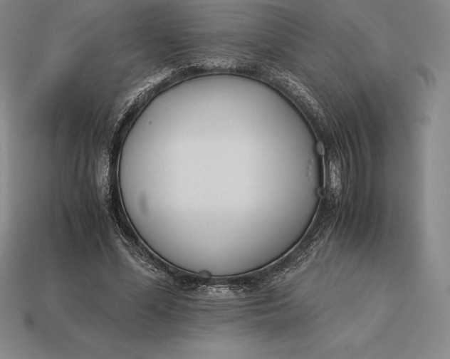 X0000113170588200909181833