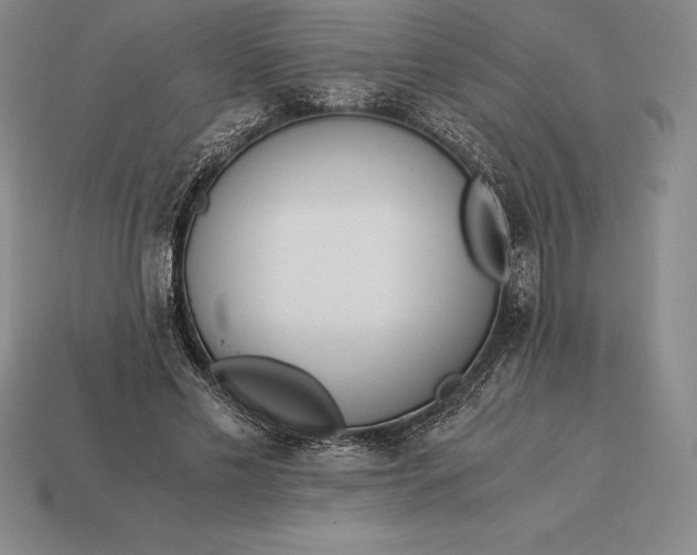 X0000113170589200909181833