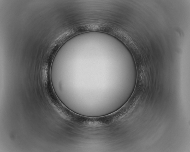 X0000113170590200909181833