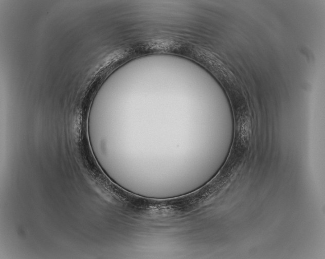 X0000113170591200909181833