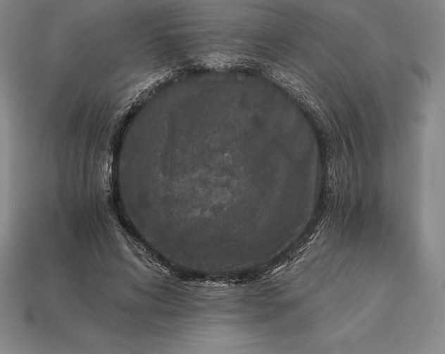 X0000113170592200909181833