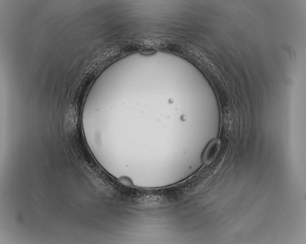 X0000113170593200909181833