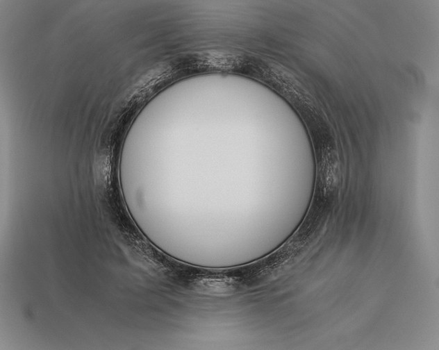 X0000113170595200909181833