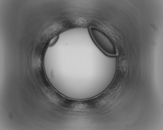 X0000113170597200909181833