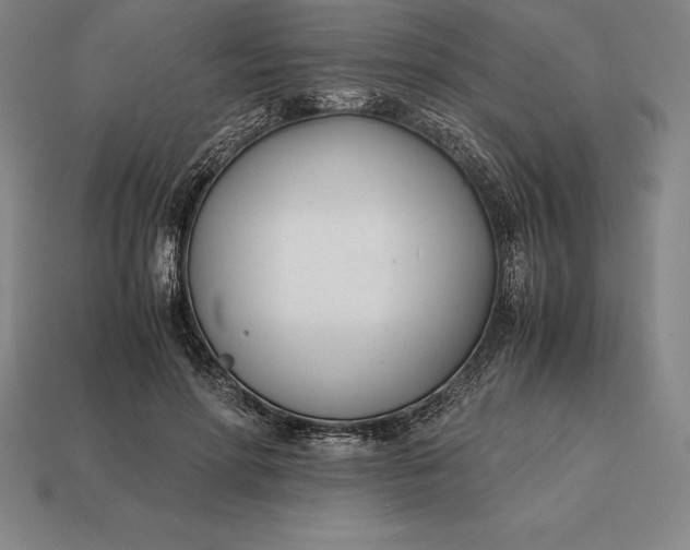 X0000113170598200909181833