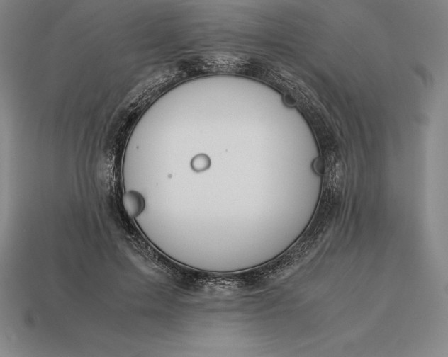 X0000113170599200909181833