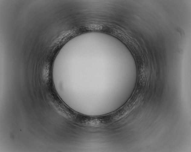 X0000113170600200909181833