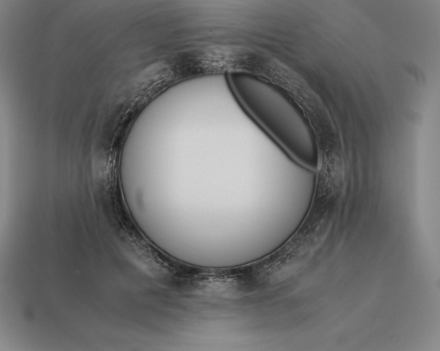 X0000113170601200909181833