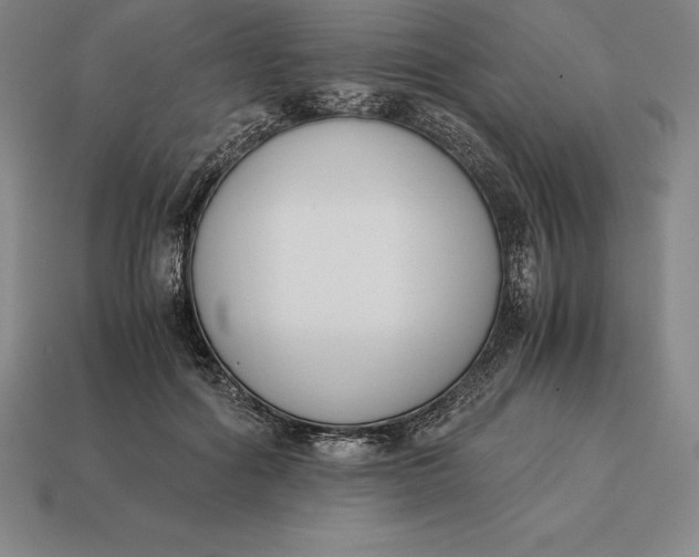 X0000113170602200909181833