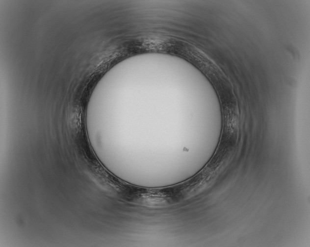 X0000113170603200909181833