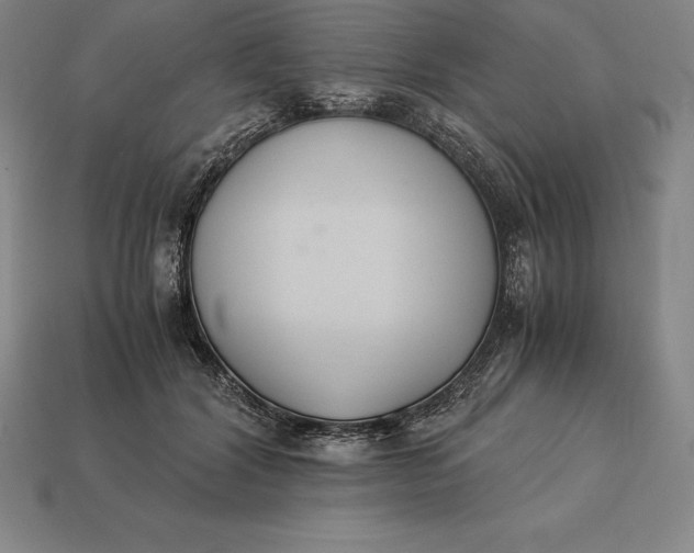 X0000113170604200909181833